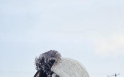 主公臣妾恭候多时